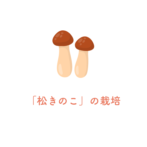 松きのこ